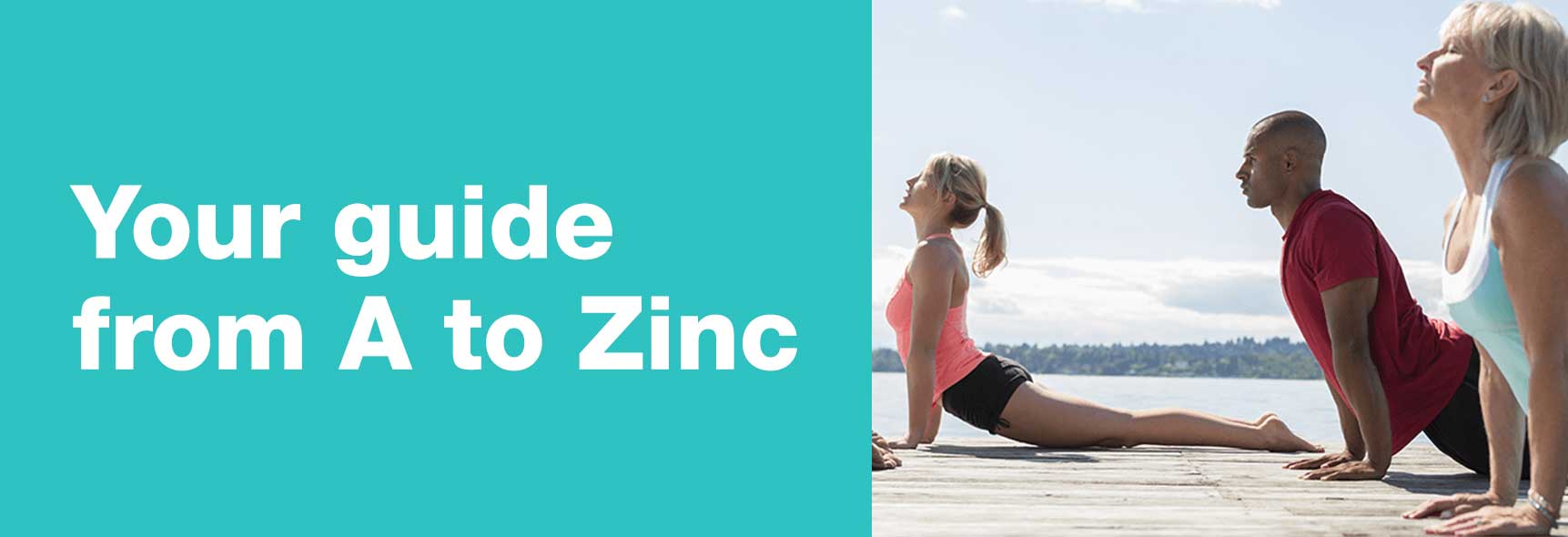 Your guide from A to Zinc