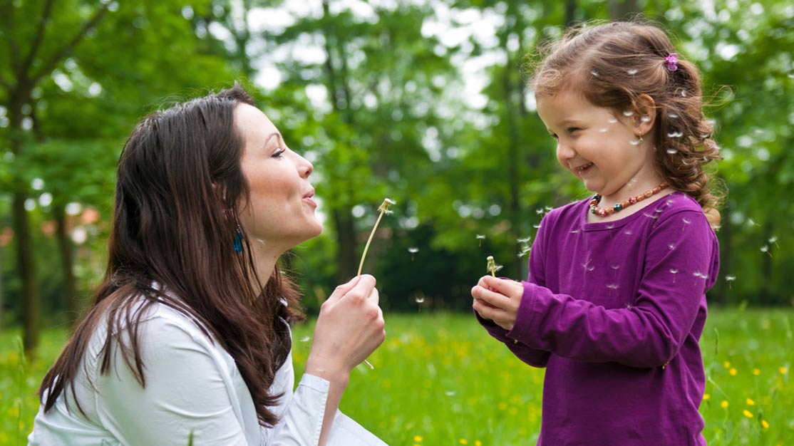 Tree Pollen and Other Pollen Allergies